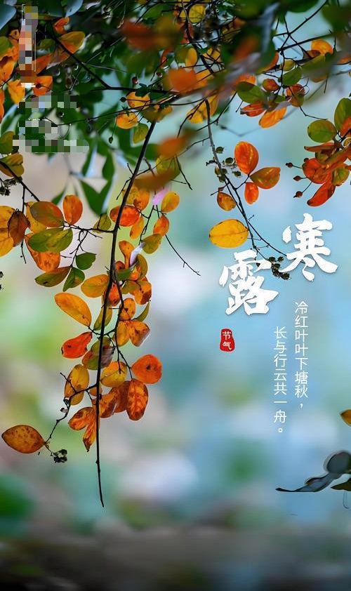 微信图片_20251008104222_16_2.png