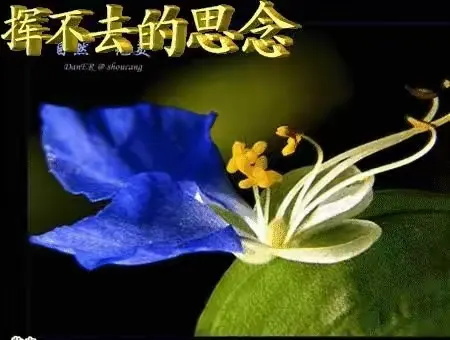 8ab4ff2b338543b5a7075d052093ff6f.jpg