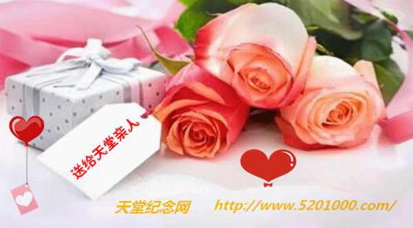 3355156.gif