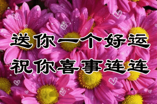4ee6a24cc5dc4a498ec2c68a5fec9de3.png