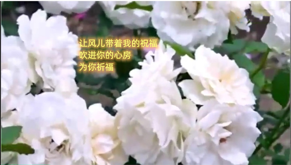 4a90ff35d6764901b669acc29c7d916f.jpg