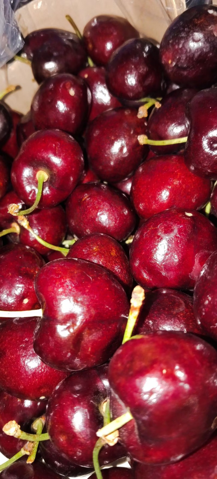 default (1)_看图王.jpg