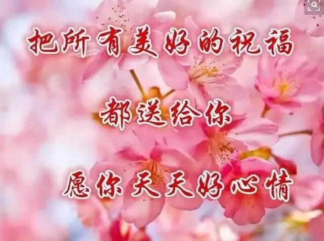 00ac98ef5c594584854391fcbf9e1638.jpg