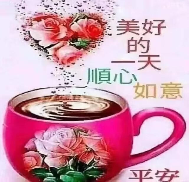 9240ed39fd044872a1d01c24cc13d42a.jpg