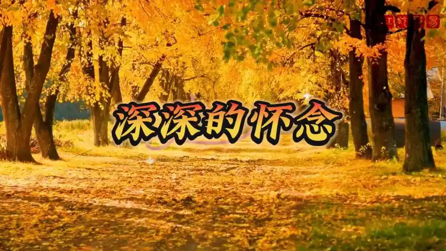 1df9542250a34502900599caf0061a8a.png