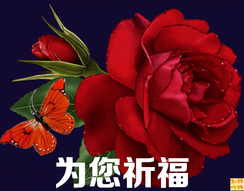 3520617.gif
