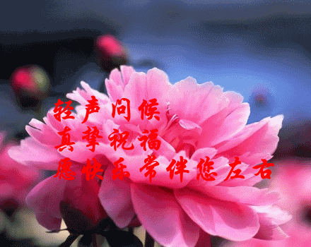 3770130.gif