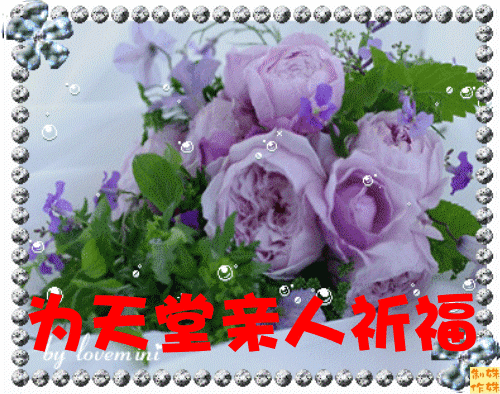 4136002.gif